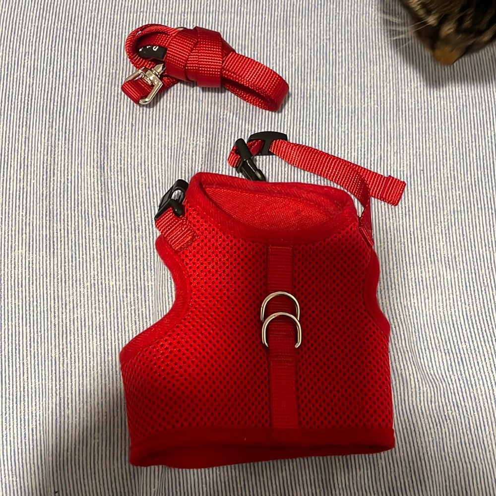 Cat Harness